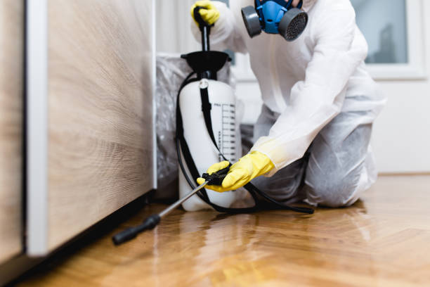 Reliable Warren, AR Pest Control Solutions