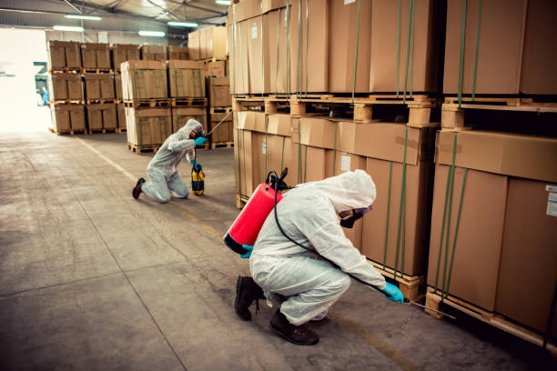 Best Cockroach Control Services  in Wren, AR