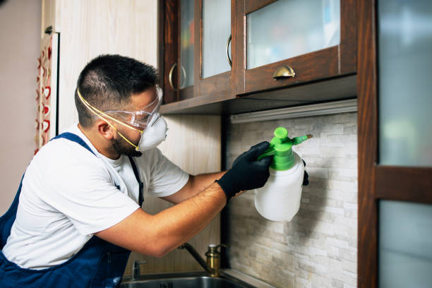 Best Commercial Pest Control Services  in Wren, AR