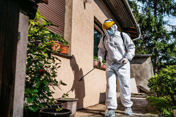 Best Pest Prevention Services  in Wren, AR
