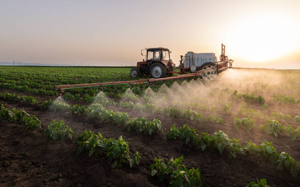 Pest Prevention Services in Warren, AR