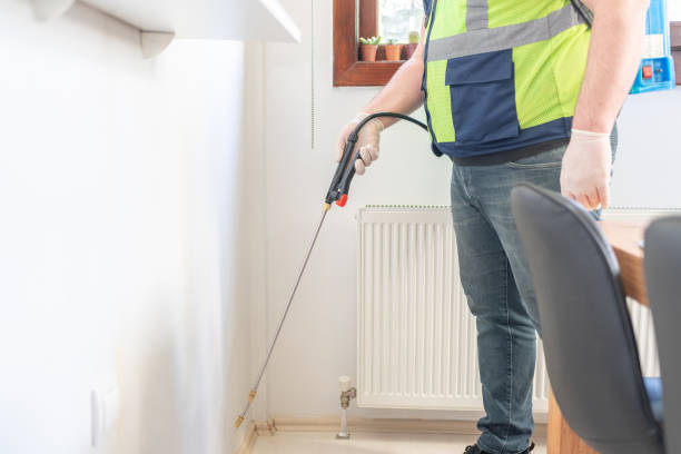 Best Termite Control Services  in Wren, AR