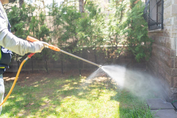 Spider Control Near Me in Warren, AR