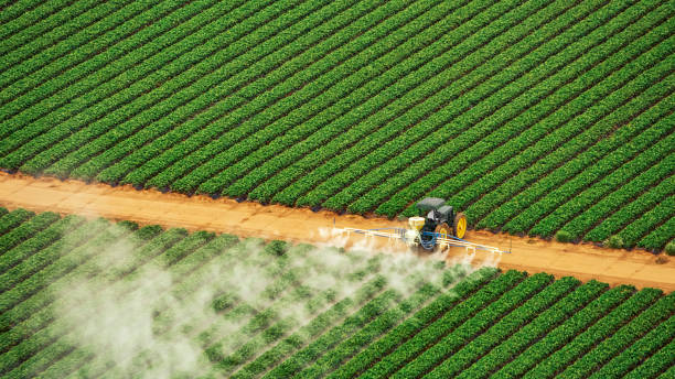 Best Mosquito Control Services  in Wren, AR