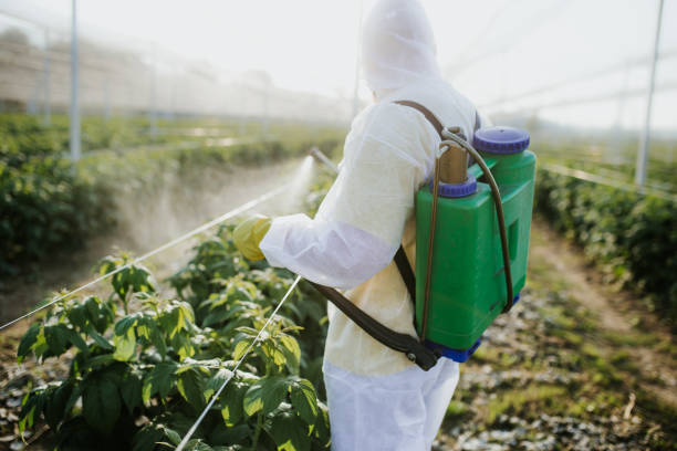  Wren, AR Pest Control Pros